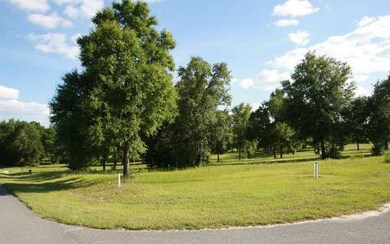 LOT21 Mandiba Dr, Lake City, FL 32024 - photo 2