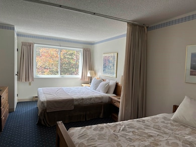 23 Black Bear Rd unit 305, Waterville Valley, NH 03215 - photo 7