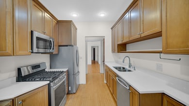 1213 E 53rd St unit 3W, Chicago, IL 60615 - photo 5