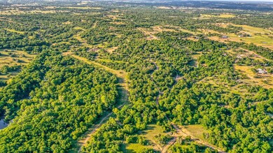 TBD-20 Spring Ranch Dr, Weatherford, TX 76088 - photo 5