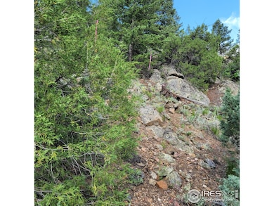 0 Gold Trail, Gold Hill, CO 80302 - photo 5