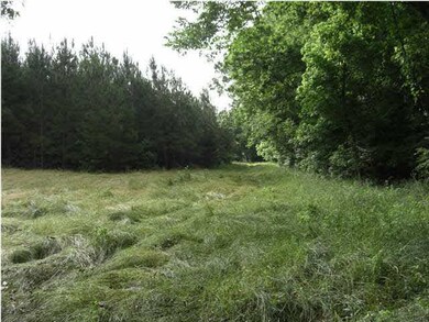 North Food Plot
