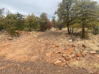 Lot 16 Hoot Owl Trail unit 16, Payson, AZ 85541 - photo 2