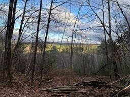 Lot 1 Brimfield Rd, Warren, MA 01083 - photo 4