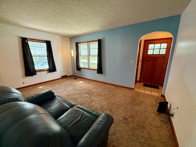 705 Carver St N, Winthrop, MN 55396 - photo 5