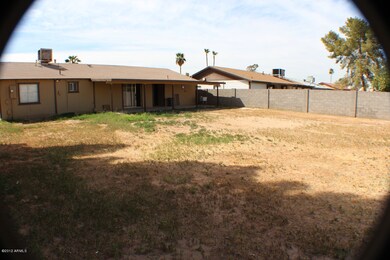 Huge Back Yard