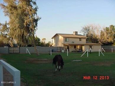 Back Yard 1
