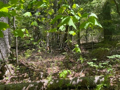 0 Pierce Rd, Peru, MA 01235 - photo 4