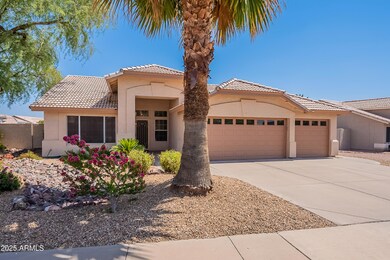 LOW MAINTENANCE LANDSCAPING