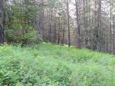 DSCN3778
