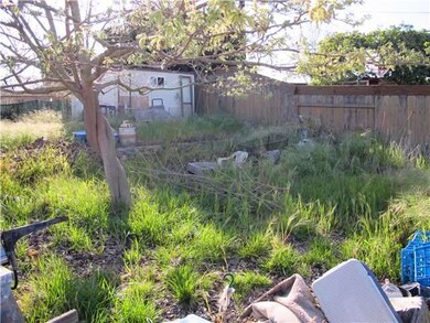 Large Back Yard