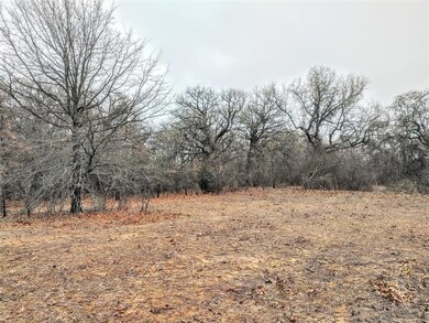 TBD County Road 4790, Boyd, TX 76023 - photo 3