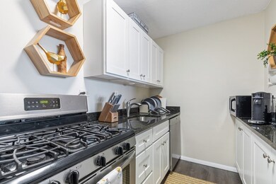 9 Hawthorne Place unit 10P, Boston, MA 02114 - photo 6