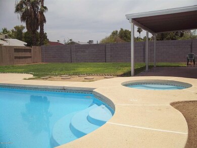 backyard 1