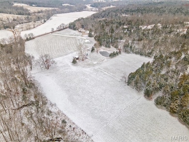 9916 Hawks Point Dr, Meramec Township, MO 63023 - photo 6