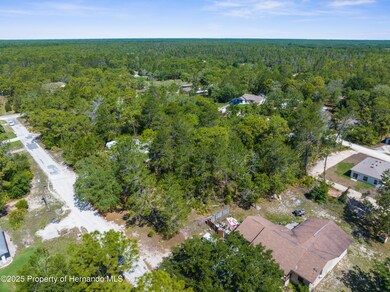 DJI_20250516105401_0264_D