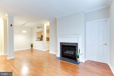 4551 Strutfield Ln unit 4313, Alexandria, VA 22311 - photo 4