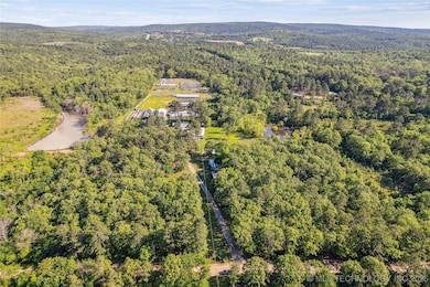 Drone / aerial view of a forest and a nearby body of water