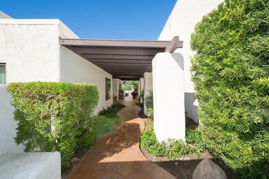 patio-3