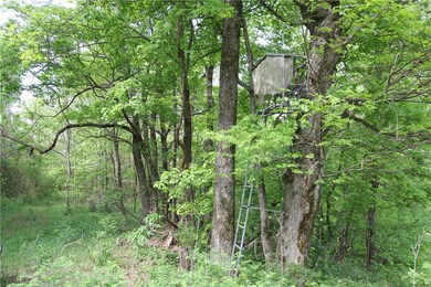 0 Madison 4230 unit 1218897, Crosses, AR 72727 - photo 4