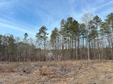 0 Old Middleton Rd unit 22775401, Elberton, GA 30635 - photo 7