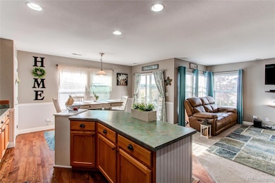 5864 Turnstone Place, Castle Rock, CO 80104 - photo 7