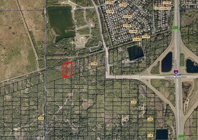 zoomed out farther_LI