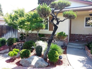 Professionally landscaped