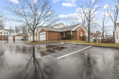 38-web-or-mls-939A6083