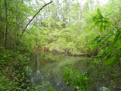 00 Lewis Rd, Dunn, NC 27597 - photo 3