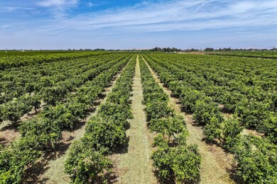 0 Road 176 unit 231620, Exeter, CA 93221 - photo 2