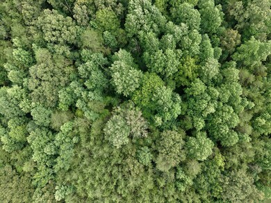 1 Barlow Rd W, Spencer, TN 38585 - photo 5