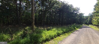 0 Roundtop Ln unit WVMO2000150, Berkeley Springs, WV 25411 - photo 6