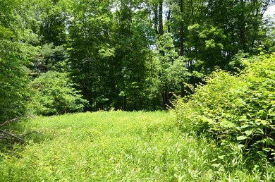 00 Spaulding Rd, Plymouth, VT 05056 - photo 2