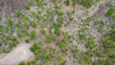 Aerial Lot 5