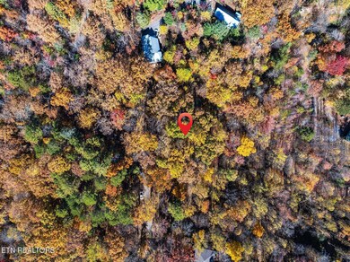 0 Grassy Branch Loop, Sevierville, TN 37876 - photo 5