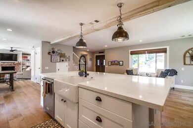 Farmer's Sink | SS Appliances