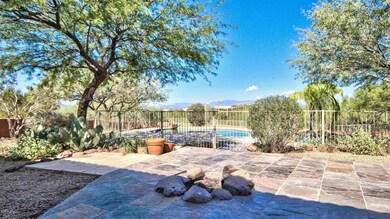 backyard 8