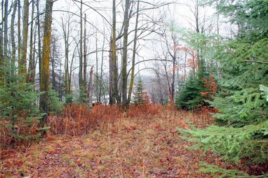 N6460 Laverne Ln, Hawkins, WI 54530 - photo 4