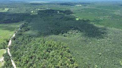 Xx Baron Rd unit LotWP002, Bonifay, FL 32427 - photo 6