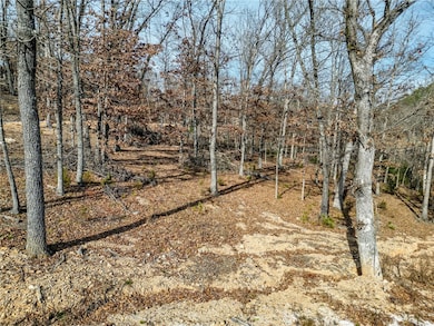 Lot 4 Winterberry Ln, Rogers, AR 72756 - photo 5