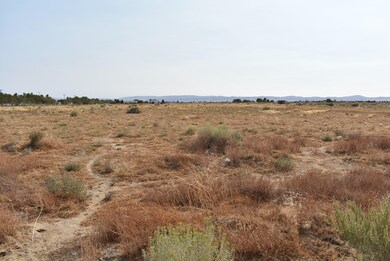 0 Cor Willow Ave & 66th St W unit 20004562, Rosamond, CA 93560 - photo 2