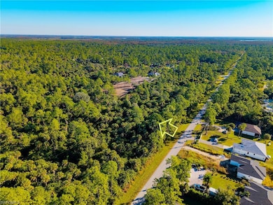 4431 16th Ave SE, Rural Estates, FL 34117 - photo 4