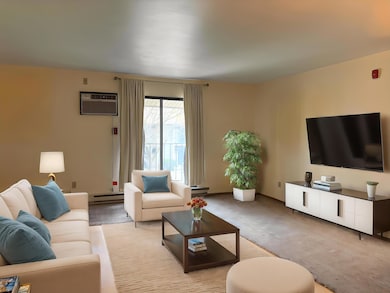 IMG_2736 - Living Room - Standard - 1