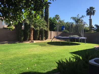 Woodridge yard