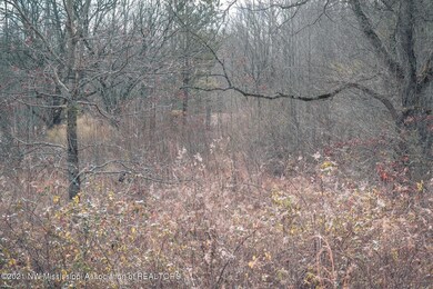 IMG-0023