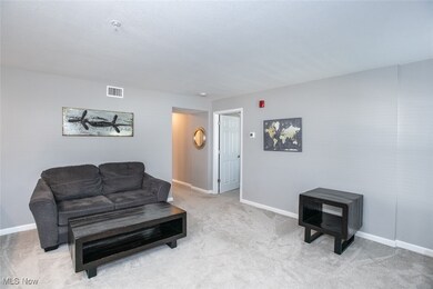 Chandlers Lane Condominiums unit 102, Olmsted Falls, OH 44138 - photo 6