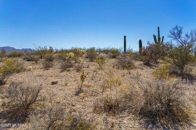 DSC03389-HDR