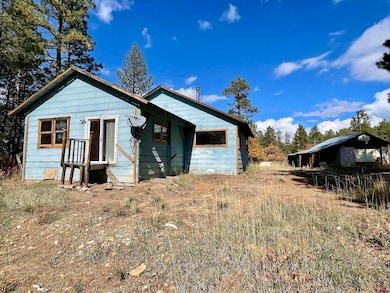 307 Deer Trail Rd, Durango, CO 81303 - photo 5