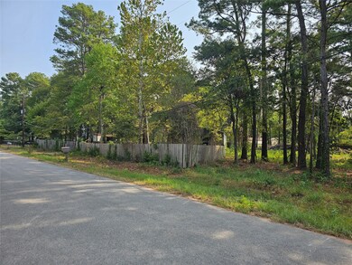 23815 Brushy Trails St, Hockley, TX 77447 - photo 5